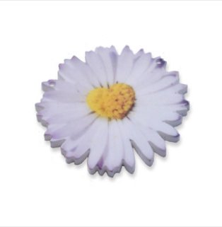 Daisy heart printed charm, 4.5cm